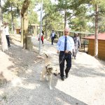 ‘Hayvan dostu kent olmayı hedefliyoruz’