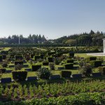 Çorum Belediyesi ekibi Güney Kore’ye resmi ziyaret gerçekleştirdi