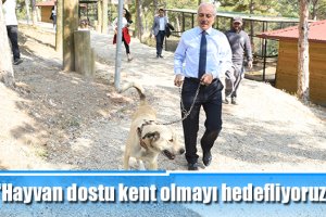 ‘Hayvan dostu kent olmayı hedefliyoruz’