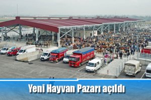 Yeni Hayvan Pazarı açıldı