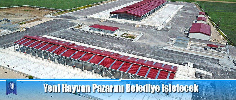 Yeni Hayvan Pazarı 18 Haziran’da açılıyor
