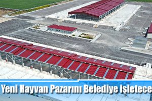 Yeni Hayvan Pazarı 18 Haziran’da açılıyor