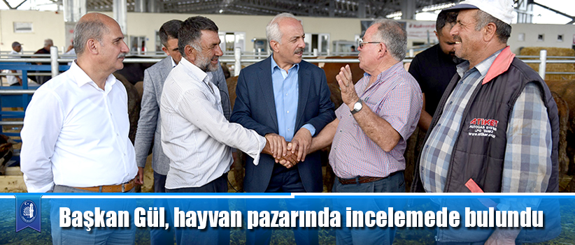 Başkan Gül, hayvan pazarında incelemede bulundu