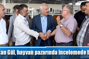 Başkan Gül, hayvan pazarında incelemede bulundu