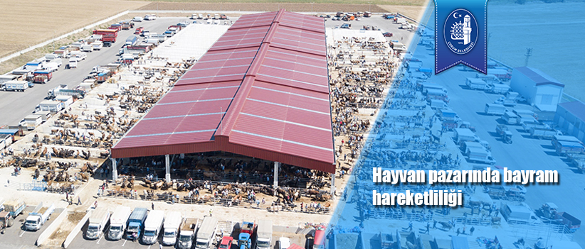 Hayvan pazarında bayram hareketliliği