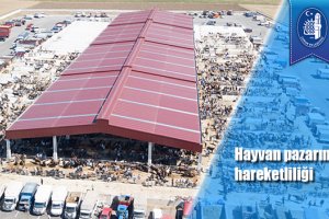 Hayvan pazarında bayram hareketliliği