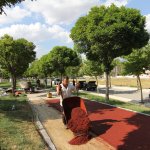 Belediyeden, parklarda geniş çaplı yenileme çalışması 