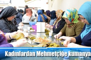 Kadınlardan Mehmetçiğe kumanya