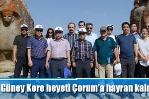 Güney Kore heyeti Çorum'a hayran kaldı