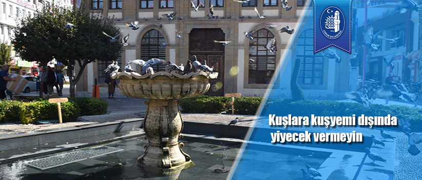 Kuşlara kuşyemi dışında yiyecek vermeyin