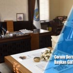 Çorum Dernekler Federasyonu’nundan Başkan Gül’e hayırlı olsun ziyareti