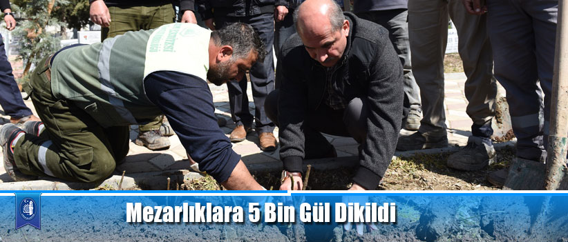Mezarlıklara 5 Bin Gül Dikildi