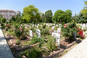 Mezarlıklar gül kokuyor