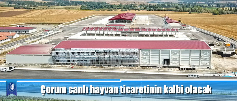 Çorum canlı hayvan ticaretinin kalbi olacak