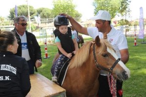 Midilli atlar Çorum’da