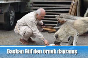 Başkan Gül’den örnek davranış