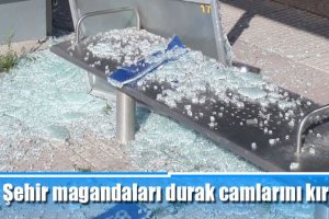 Şehir magandaları durak camlarını kırdı