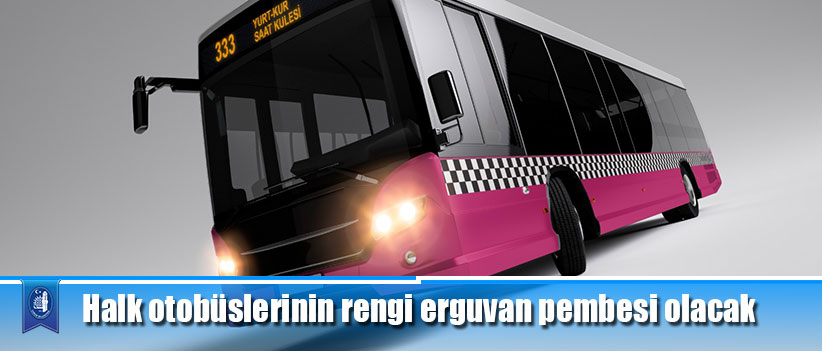 Halk otobüslerinin rengi erguvan pembesi olacak