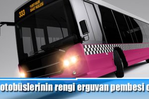 Halk otobüslerinin rengi erguvan pembesi olacak