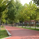 Başkan Gül, Kanal 5’e konuk oldu