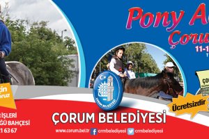 Pony Atlar Çorum'da