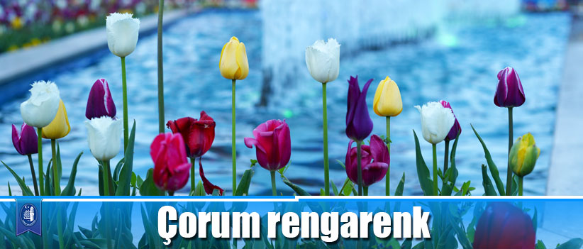 Çorum rengarenk