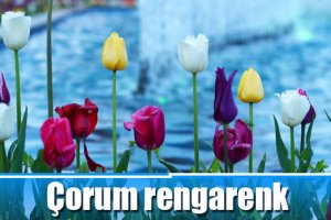 Çorum rengarenk