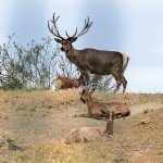 Vatandaşlar mesire alanlarında hoş vakit geçiriyor