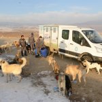 Onlar Belediye’ye emanet