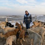 Onlar Belediye’ye emanet