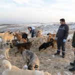 Onlar Belediye’ye emanet