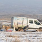 Onlar Belediye’ye emanet