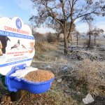 Onlar Belediye’ye emanet