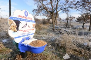 Onlar Belediye’ye emanet