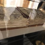 Buhara'daki 3. Uluslararası Sosyal Bilimler Kongresi sona erdi