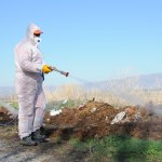 Vektörel mücadeleye yoğun mesai