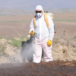 Vektörel mücadeleye yoğun mesai