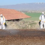 Vektörel mücadeleye yoğun mesai