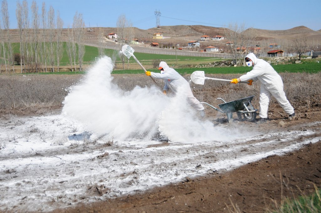 Belediye, sinekle mücadeleye devam ediyor