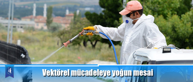 Vektörel mücadeleye yoğun mesai