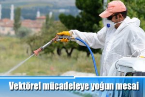 Vektörel mücadeleye yoğun mesai