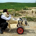 Başkan Külcü AA'nın "Yılın Fotoğrafları" oylamasına katıldı