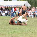 Karakucak güreşleri izleyenleri mest etti