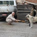 Başkan Gül’den örnek davranış