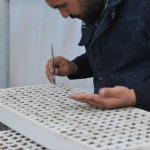 Belediye, 45 bin kış çiçeğini toprakla buluşturacak