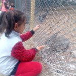 Öğrencilerden evcil hayvan parkına yoğun ilgi