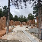 Sahipsiz kediler müşahede binası hızla ilerliyor