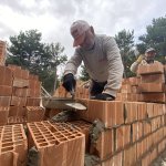 Sahipsiz kediler müşahede binası hızla ilerliyor