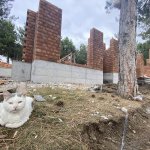 Sahipsiz kediler müşahede binası hızla ilerliyor