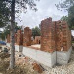 Sahipsiz kediler müşahede binası hızla ilerliyor